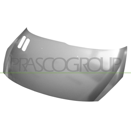 Motorhaube Prasco PG0113100 für Peugeot