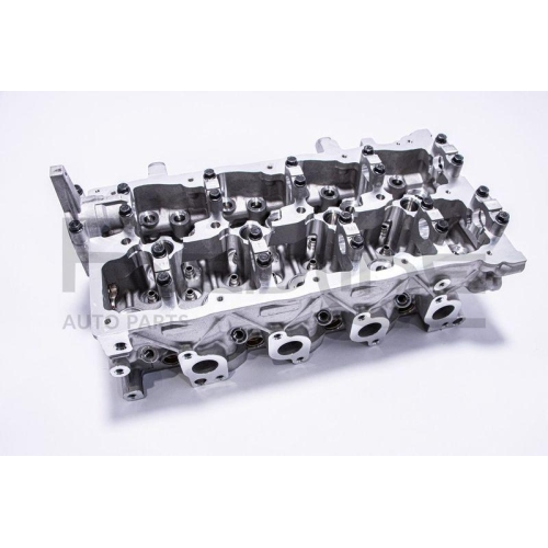 Zylinderkopf Red-line 21HY012 für Hyundai