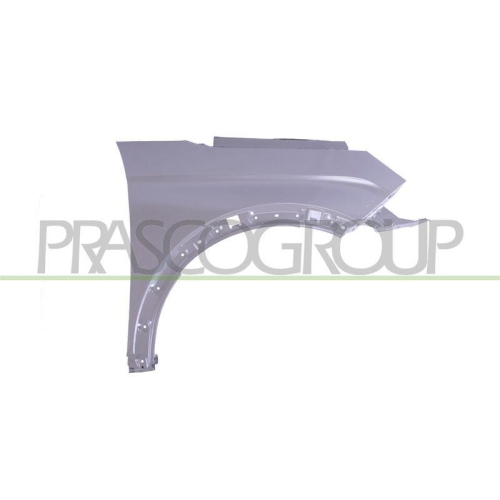 Kotfl&uuml;gel Prasco PG5243023 f&uuml;r Peugeot Vorne Rechts