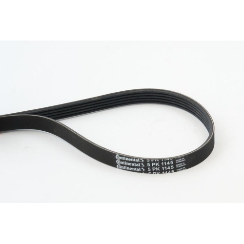 Keilrippenriemen Continental Ctam 5PK1145 f&uuml;r Alfa Romeo Chrysler Fiat Ford MG