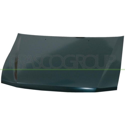 Motorhaube Prasco MB1593100 f&uuml;r Mitsubishi