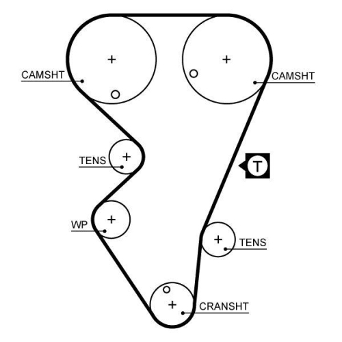 Zahnriemen Gates 5206 Powergrip™ für Citroën Peugeot Dana