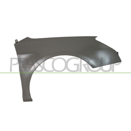 Kotfl&uuml;gel Prasco CI5233003 f&uuml;r Citro&euml;n Vorne Rechts