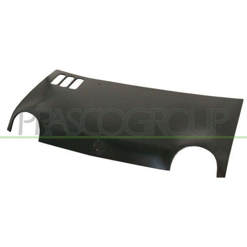 Motorhaube Prasco RN0253100 für Renault