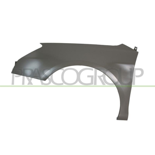 Kotfl&uuml;gel Prasco CI5233004 f&uuml;r Citro&euml;n Vorne Links