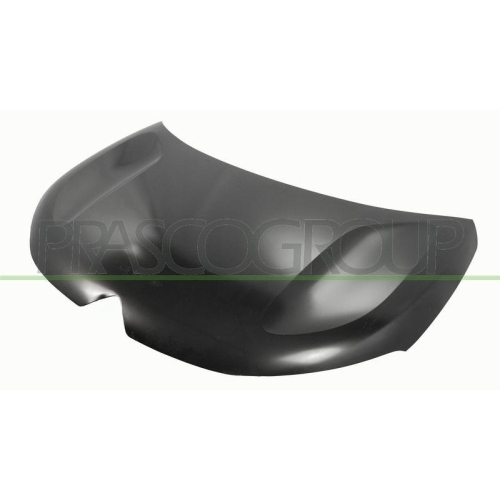 Motorhaube Prasco CI5273100 f&uuml;r Citro&euml;n