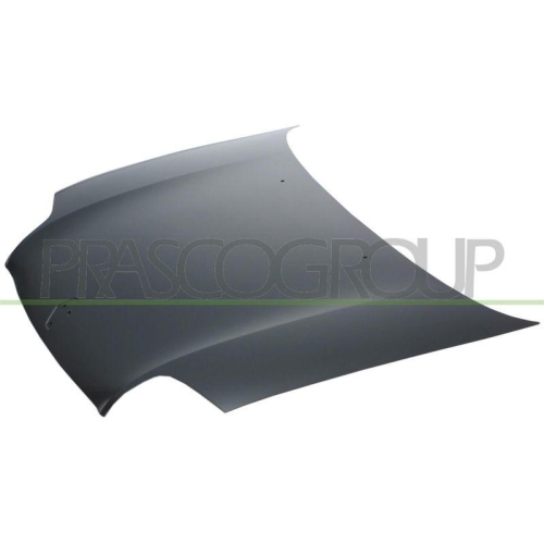Motorhaube Prasco RN3203100 f&uuml;r Renault