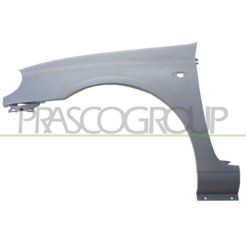 Kotfl&uuml;gel Prasco RN3203004 f&uuml;r Renault Vorne Links