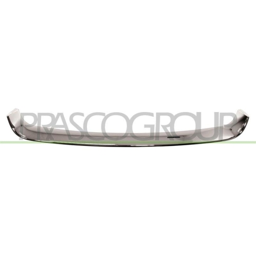 Zier /schutzleiste Sto&szlig;f&auml;nger Prasco RN0382206 f&uuml;r Renault Vorne