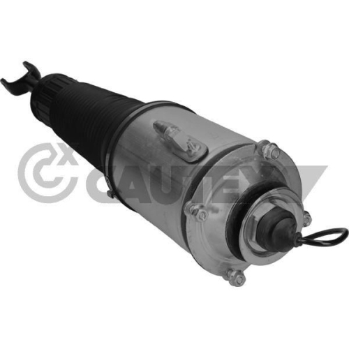 Luftfederbein Cautex 752012 für Audi Vag Vorderachse Rechts