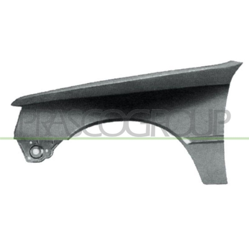 Kotfl&uuml;gel Prasco PG0173004 Premium f&uuml;r Peugeot Vorne Links