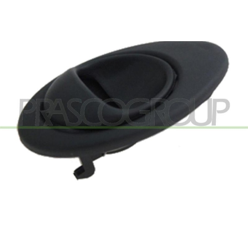 T&uuml;rgriff Innenausstattung Prasco DW3248602 f&uuml;r Chevrolet Hinten Links