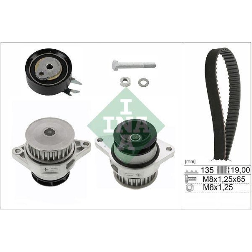 Water Pump & Timing Belt Kit Schaeffler Ina 530 0166 30 for Audi Seat Skoda VW