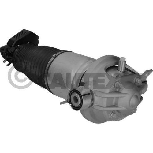 Luftfederbein Cautex 752020 für Audi Porsche VW Vag Hinterachse Rechts