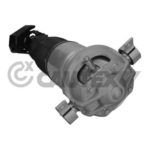 Luftfederbein Cautex 752023 für Audi Porsche VW Vag Hinterachse Links