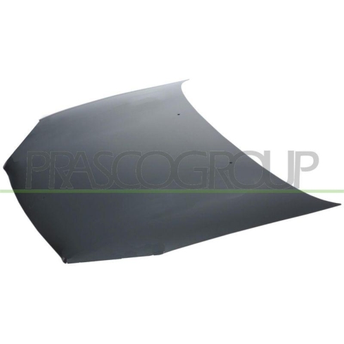 Motorhaube Prasco RN3223100 für Renault