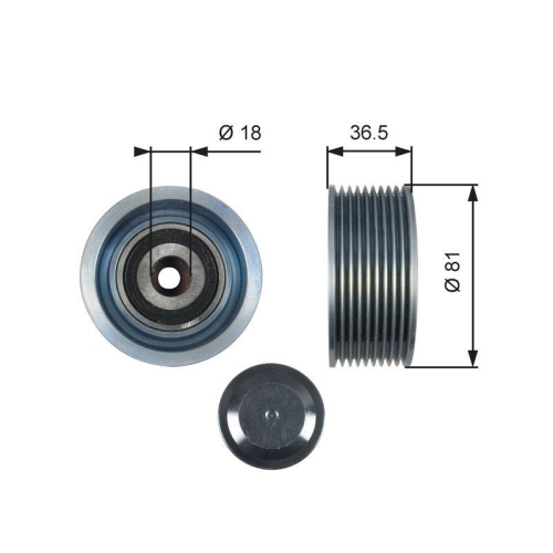 Umlenk /f&uuml;hrungsrolle Keilrippenriemen Gates T36508 Fleetrunner&trade; f&uuml;r Evobus