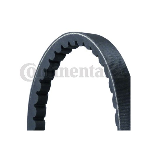 Keilriemen Continental Ctam AVX13X875 für Bedford Buessing Daihatsu Fiat Honda