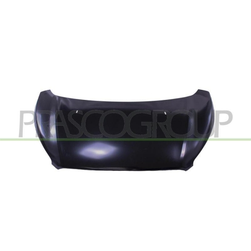 Motorhaube Prasco FD9163100 für Ford