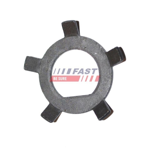 Sicherungsblech Trag /f&uuml;hrungsgelenk Fast FT26037 f&uuml;r Citro&euml;n Iveco Beidseitig