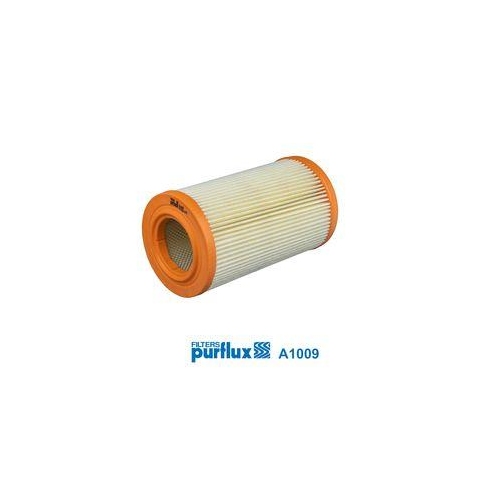 Luftfilter Purflux A1009 f&uuml;r Ford Nissan Toyota Rover/austin Generic