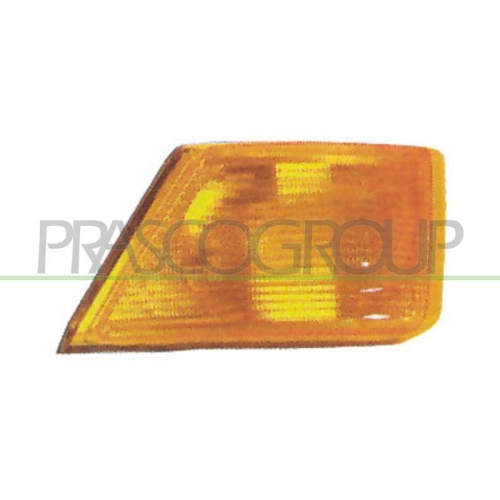 Lichtscheibe Blinkleuchte Prasco FT9264103 für Fiat Vorne Rechts