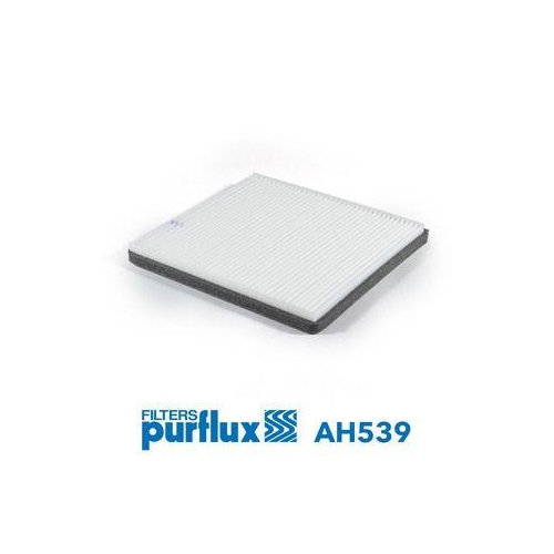 Filter Innenraumluft Purflux AH539 f&uuml;r Chevrolet Daewoo General Motors Generic
