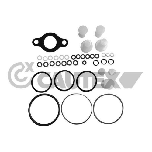 Reparatursatz Pumpe Düse Einheit Cautex 752354 für Renault Mercedes Benz