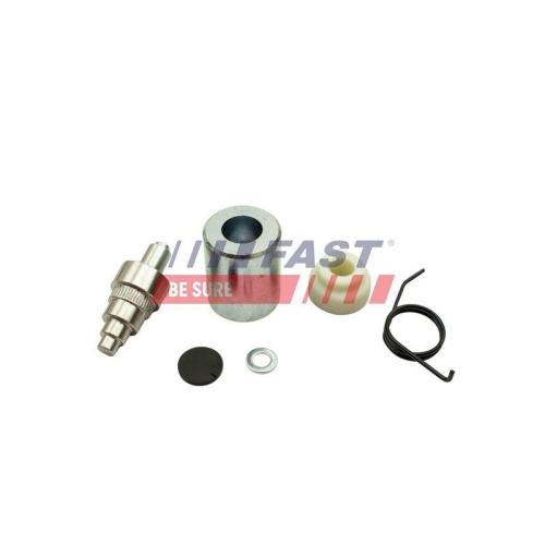 Rollenf&uuml;hrung Schiebet&uuml;r Fast FT95821 f&uuml;r Citro&euml;n Fiat Opel Volvo Schiebet&uuml;r