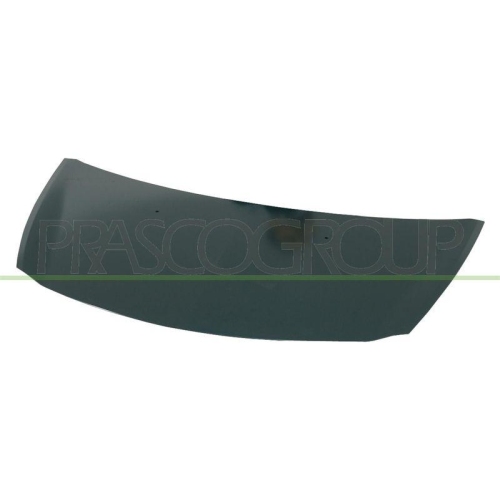 Bonnet Prasco RN3253100 for Renault