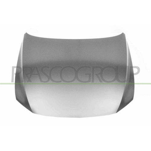 Motorhaube Prasco VG0563100 für VW