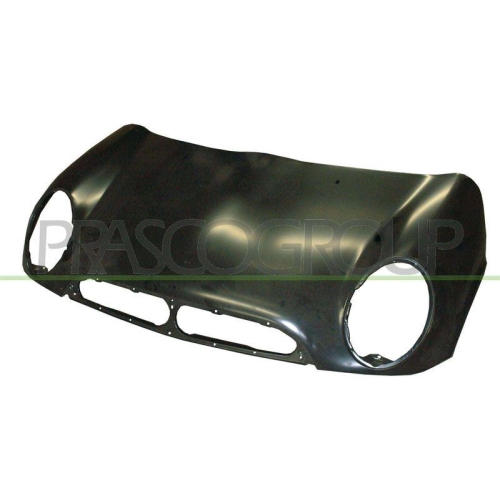 Motorhaube Prasco MN3043100 Premium für Mini