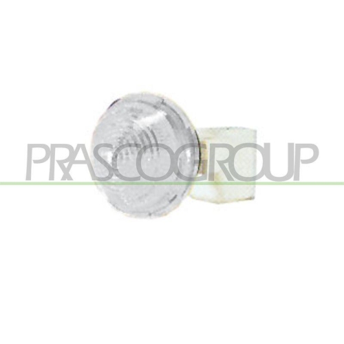 Blinkleuchte Prasco FT0194041 für Fiat Seitlicher Einbau Vorne Links