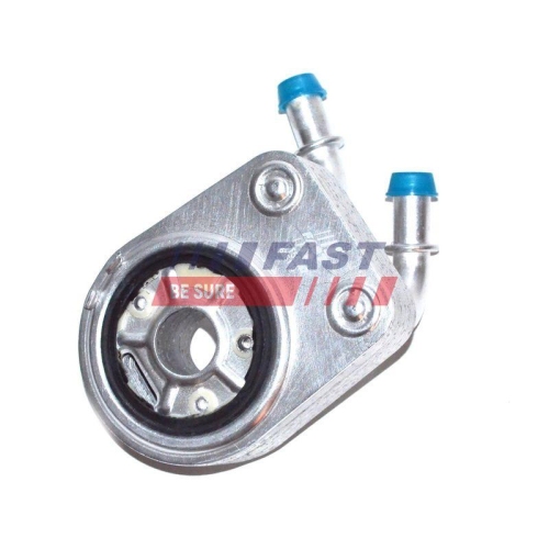 &Ouml;lk&uuml;hler Motor&ouml;l Fast FT55287 f&uuml;r Fiat