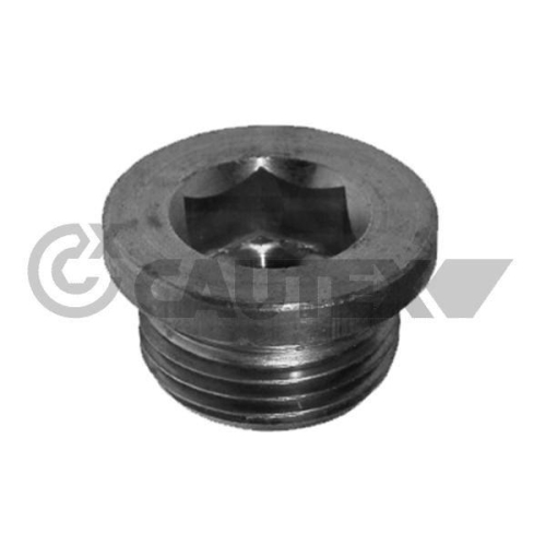 Verschlussschraube Ölwanne Cautex 952005 für Peugeot