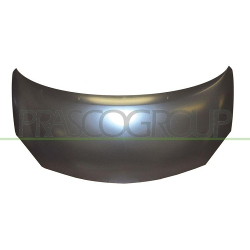 Motorhaube Prasco RN3073100 für Renault