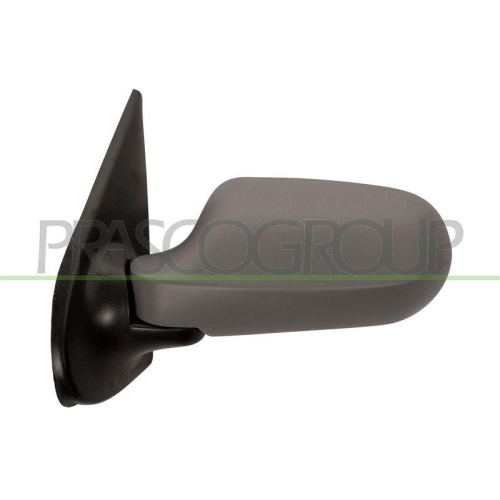 Au&szlig;enspiegel Prasco FT1148224 f&uuml;r Links