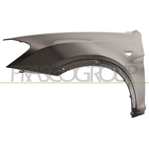 Kotfl&uuml;gel Prasco BM8043014 f&uuml;r Bmw Vorne Links