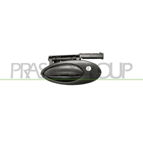Türaußengriff Prasco CI5208004 für Citroën Außen Vorne Links