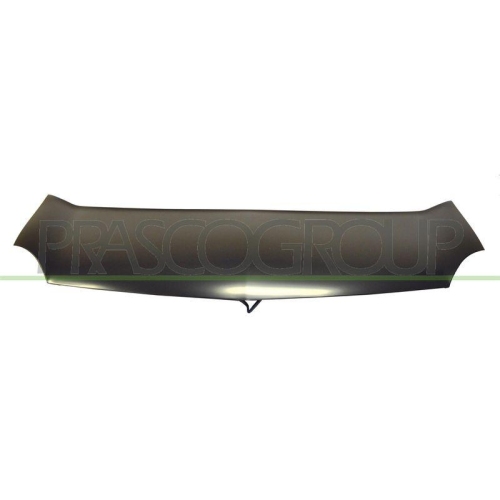 Bonnet Prasco RN9183100 for Renault