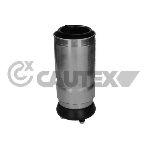 Luftfeder Fahrwerk Cautex 752867 f&uuml;r Land Rover Vorderachse