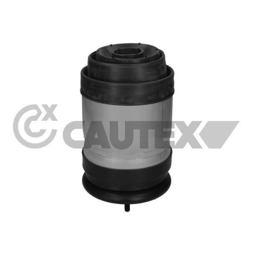 Luftfeder Fahrwerk Cautex 752888 für Land Rover Hinterachse