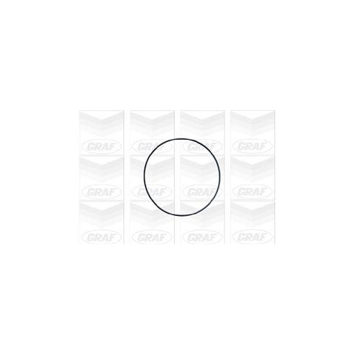 Wasserpumpe Motork&uuml;hlung Graf PA690 f&uuml;r Fiat Lancia