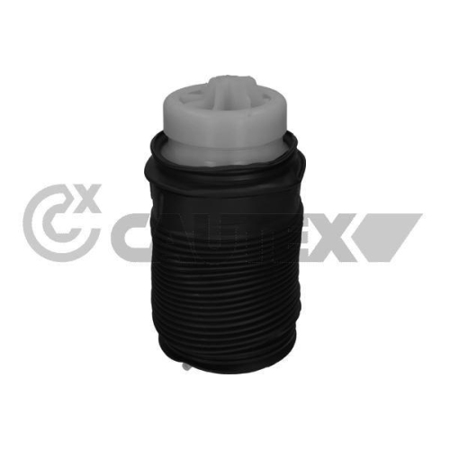 Luftfeder Fahrwerk Cautex 753190 f&uuml;r Mercedes Benz Mercedes Benz Mercedes Benz