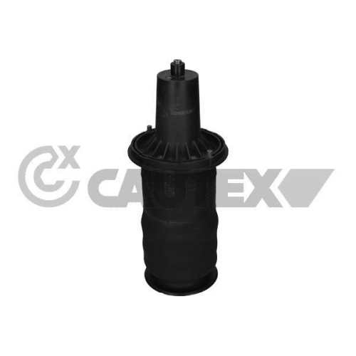 Luftfeder Fahrwerk Cautex 753462 für Land Rover Vorderachse