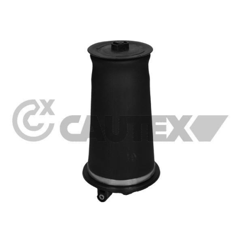 Luftfeder Fahrwerk Cautex 753484 für Land Rover Hinterachse