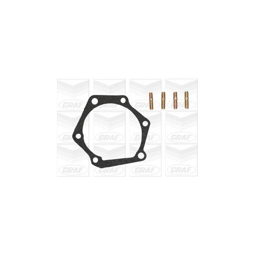 Wasserpumpe Motork&uuml;hlung Graf PA767 f&uuml;r Toyota VW