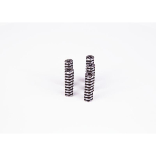 Spring Bosch 2434614055 for