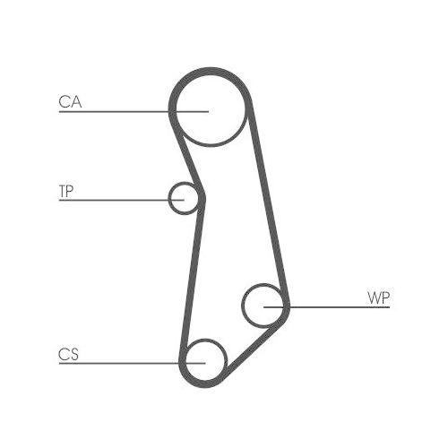 Zahnriemen Continental Ctam CT1114 f&uuml;r Fiat