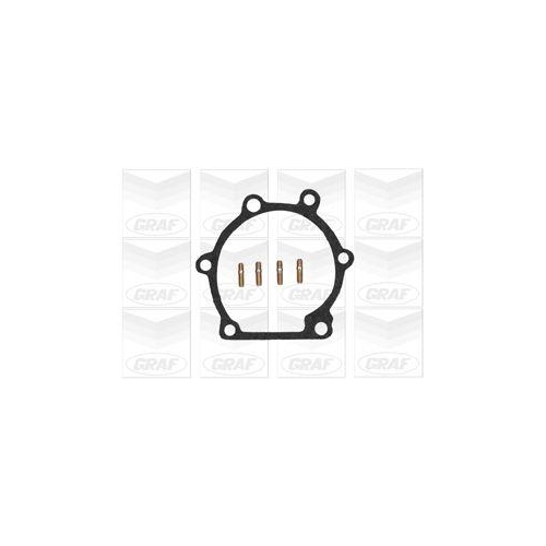 Wasserpumpe Motork&uuml;hlung Graf PA775 f&uuml;r Toyota Eastern Coach Works Advance